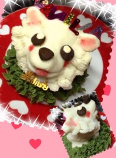 神奈川　犬用ケーキ,相模原　犬用ケーキ