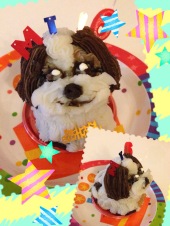 神奈川　犬用ケーキ,相模原　犬用ケーキ