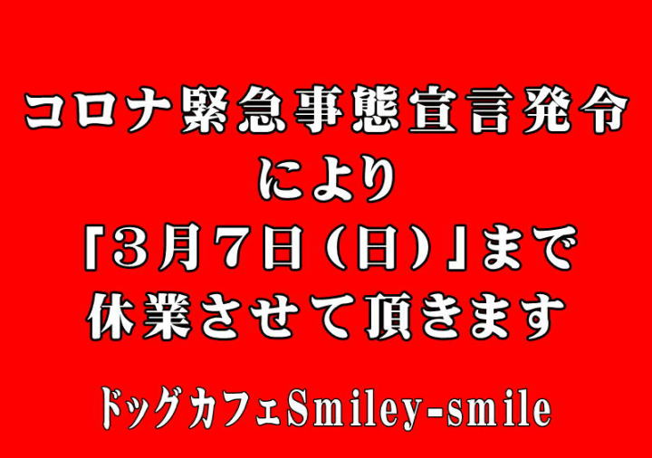 ドッグカフェ神奈川 神奈川でドッグカフェやドッグランならsmileysmile