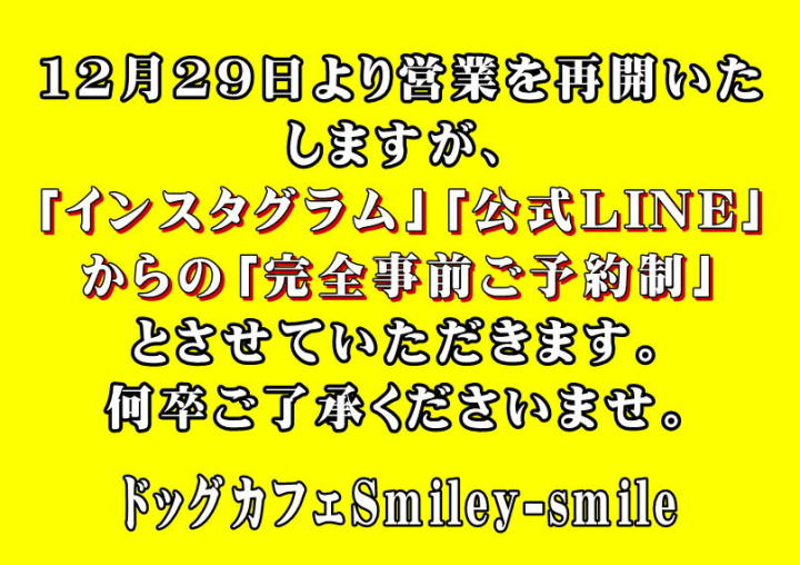 ドッグカフェ神奈川｜神奈川県でドッグカフェやドッグランなら初心者や