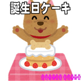 犬用誕生日ケーキ